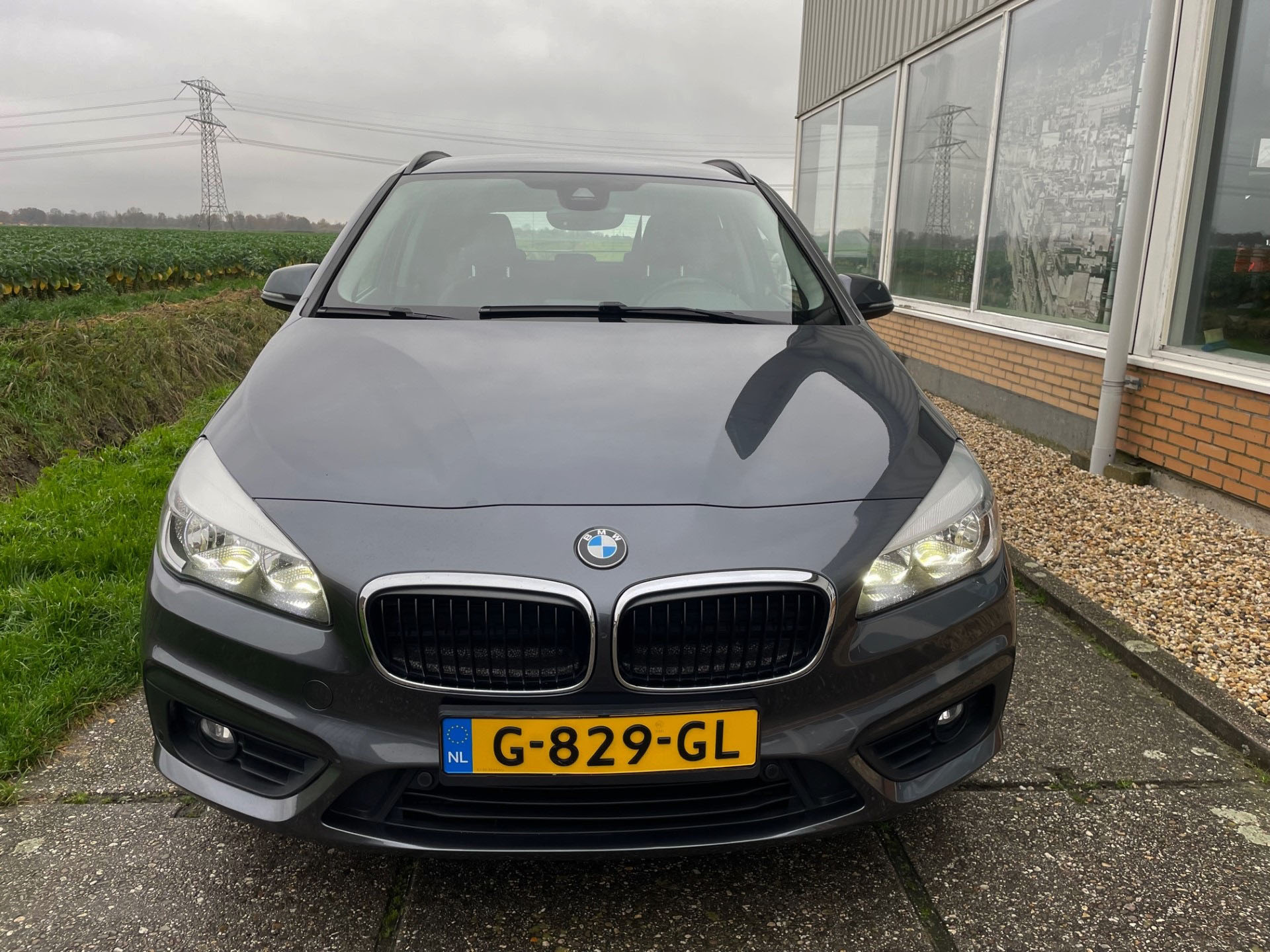 36177133-5.jpg