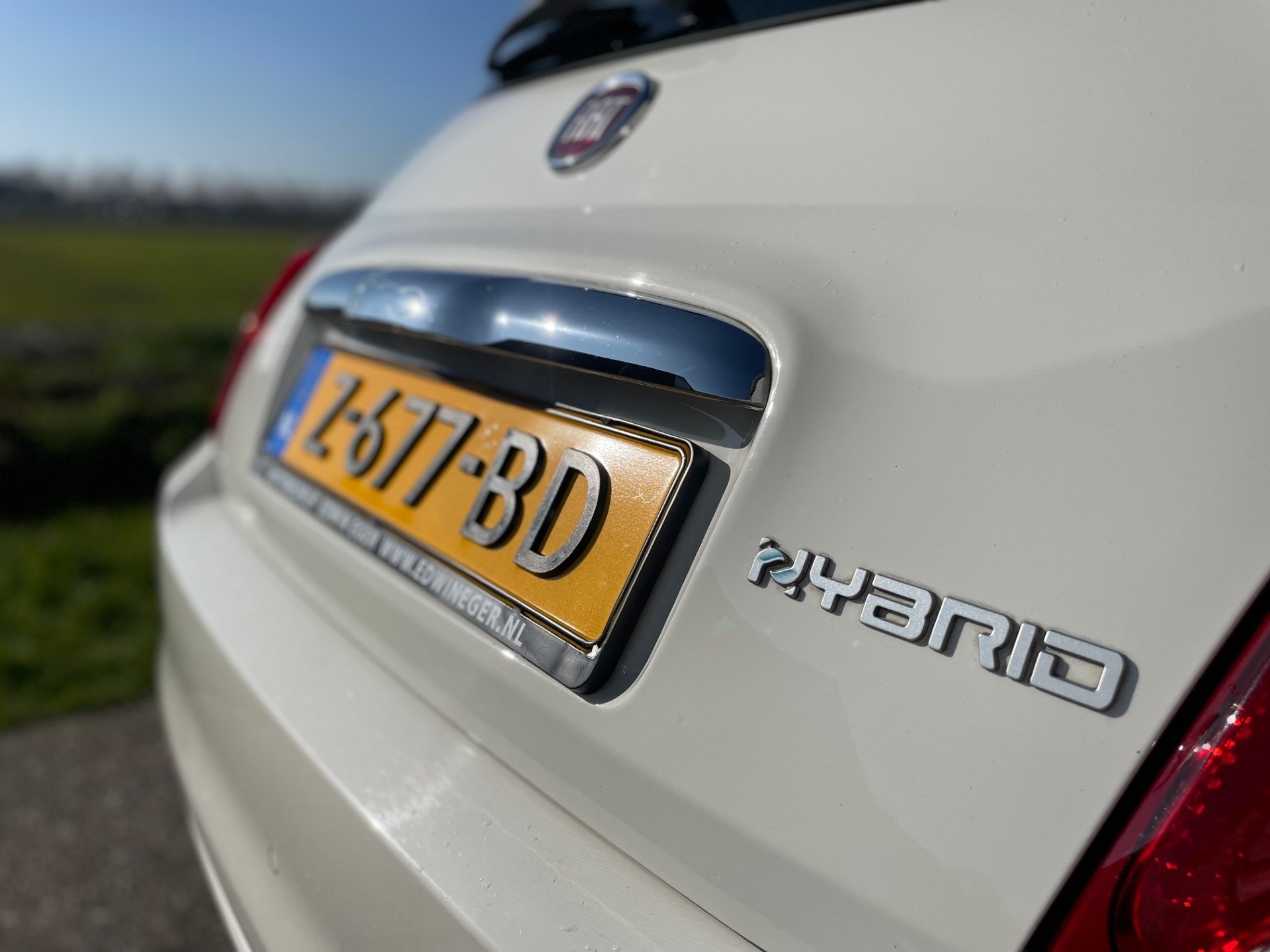37504265-4.jpg