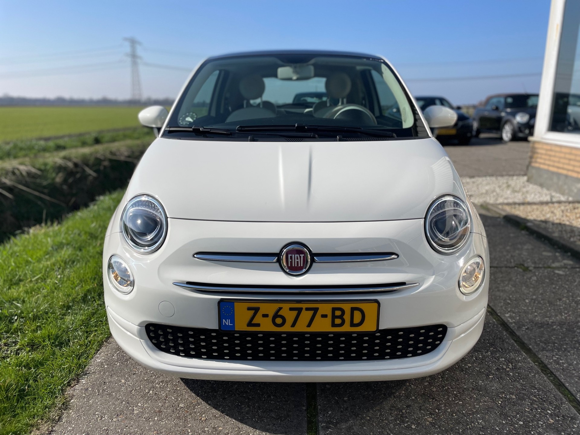 37504265-7.jpg