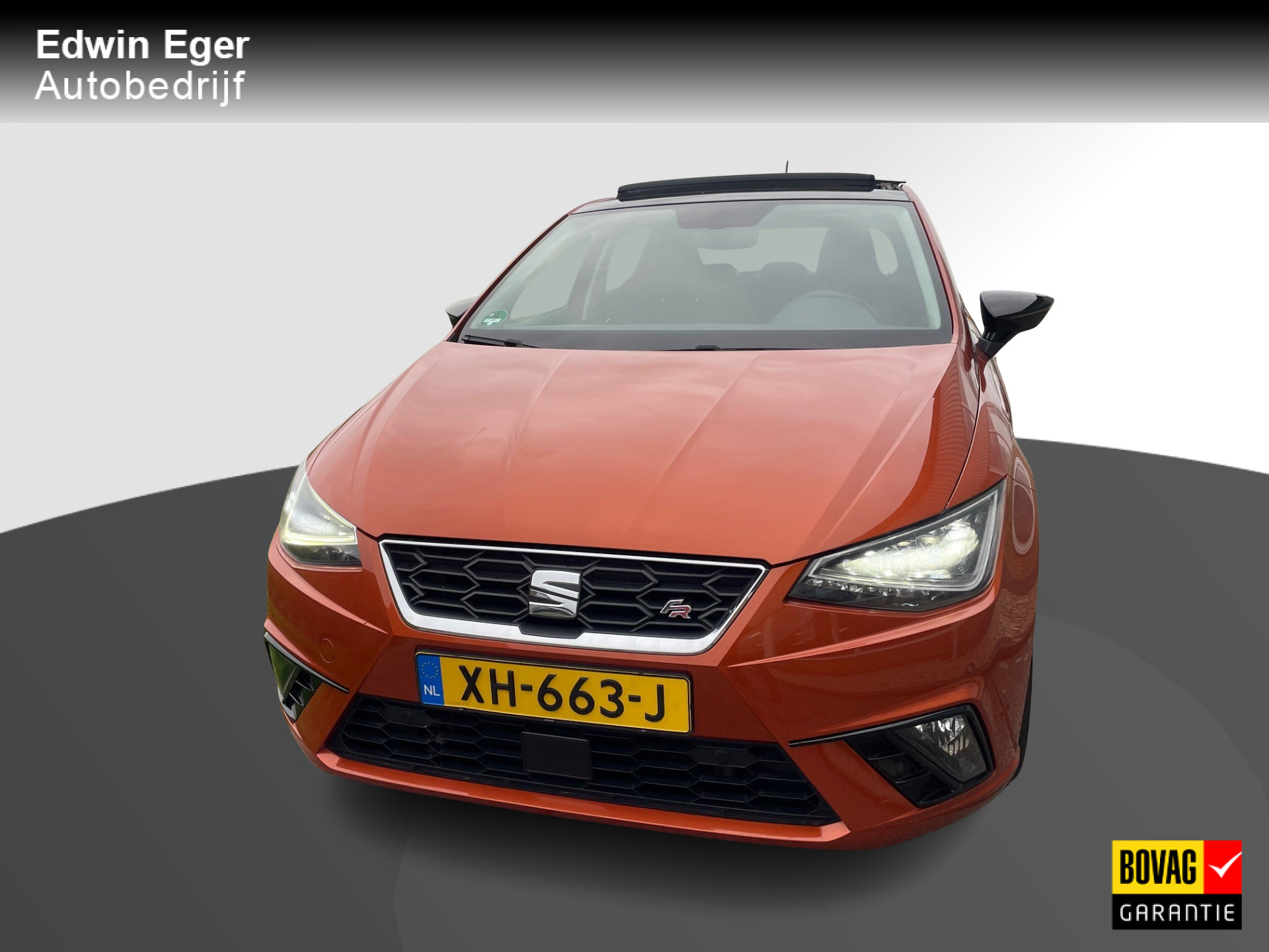 41799239-24.jpg
