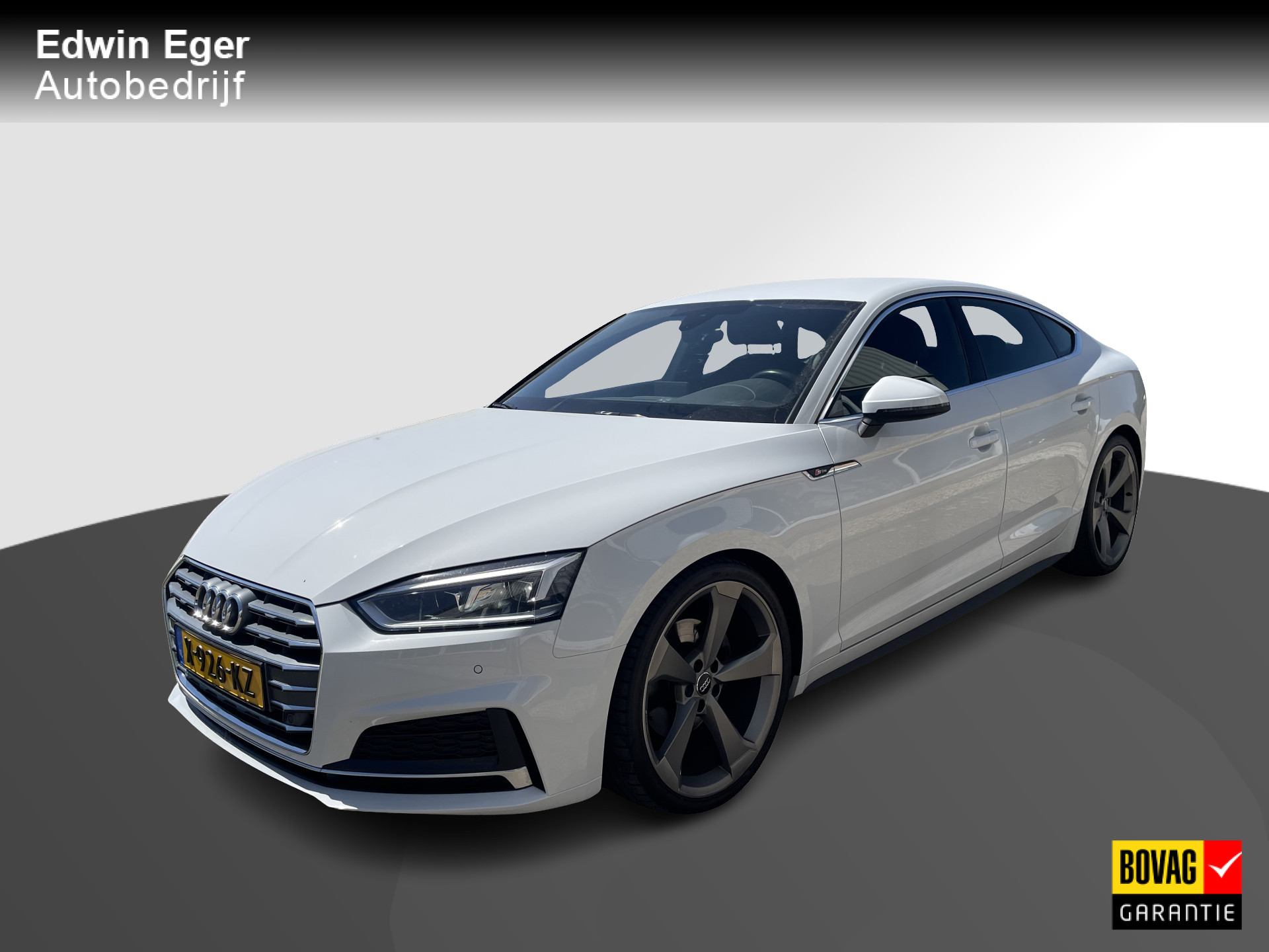 43017975-23.jpg